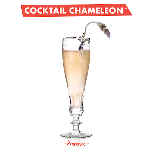 - Cocktail Chameleon by Mark Addison (Assouline 2017) “Provence”