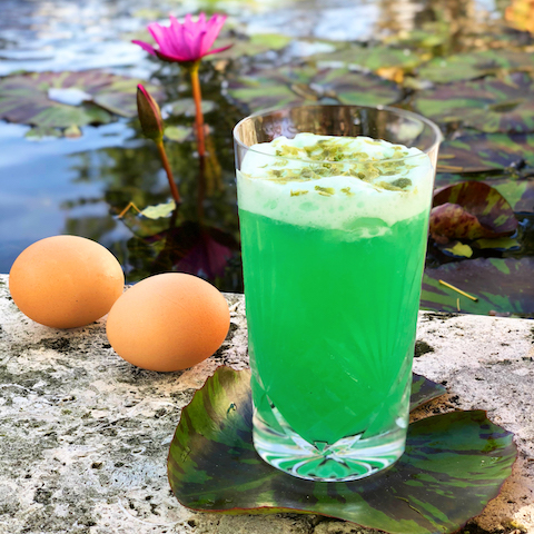 2018 Oscar Cocktails: Swamp Fizz, Inspired by “Shape of Water”